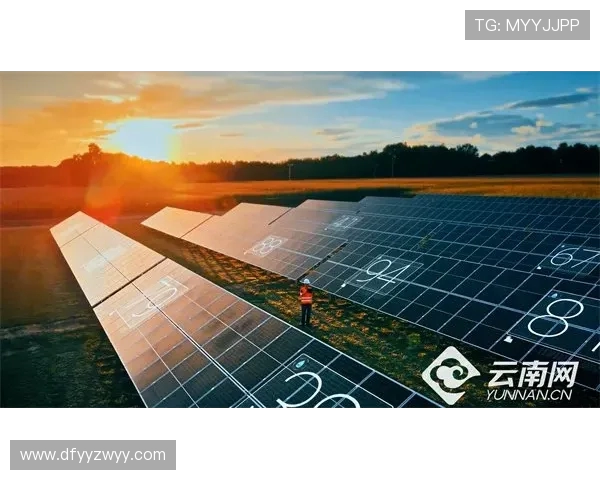 3.1 万跑者竞速青铜故里 宝鸡 “赛事流量” 跑出发展加速度